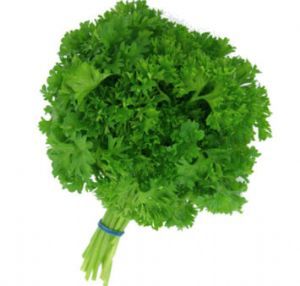 Bouquet de Persil ( 150gr)