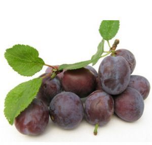 Prune 'Rouge'
