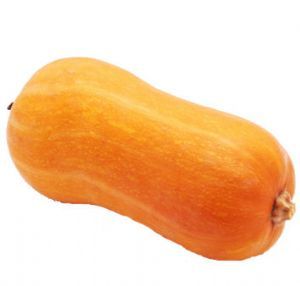 Courge de Nice
