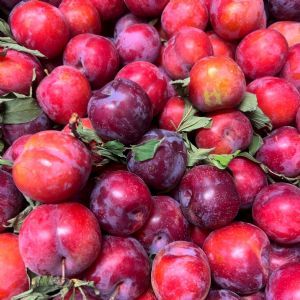 PRUNES ROUGES