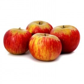 Pomme 'Reine des Renettes'