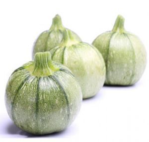 Courgette Ronde (arrivage precoce-quantite limitee)