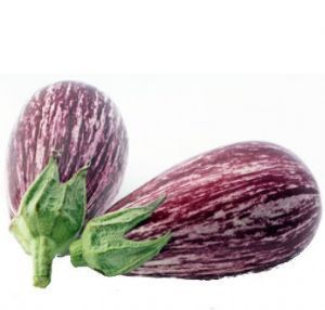 Aubergine 'Zebree'