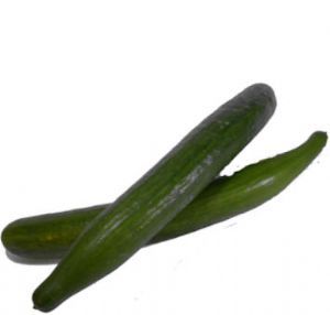 Concombre Long